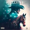 Stallion (feat. Felo Le Tee, Mellow & Sleazy) - Vissur Rsa&Felo Le Tee&Mellow&Sleazy