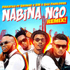 Nabina Ngo (Remix!) - Firastar&SHVNGZ&BM&GAZ FABILOUSS