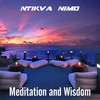 Brief Presence - Antikva Animo