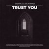 Trust You (Original Mix) - SHARKZ&Beatmad