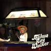 Working Girl - Joshua Ray Walker