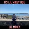 What I Had to Do (Explicit) - Lil Mikey