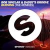 Burning (Robbie Rivera Remix) - Daddy's Groove&Bob Sinclar