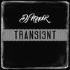 Transi3nt (Original Mix) - DJ Nipper