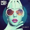 I Will Make It (Double Pleasure Remix) - Peter Luts