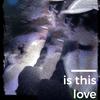 is this love (Explicit) - Pawl4k&Vrils&Harry Bliss