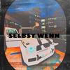 Selbst Wenn (Explicit) - Stevie Jay