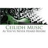 Robert Burns Reels (Like You've Never Heard Before Mix) - Billy McIntyre&Billy McIntyre & His All Star Ceilidh Band