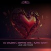 Love Like Yours - DJ Gollum&Empyre One&Kane Scott&Diandra J Burger/Diandra Faye&Wouter Jurriaans&Casper Gommers&Amanda Collis