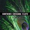 Soothing Krishna Flute - Dev Bhawsar