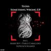 Something Wrong (Original Mix) - Teoss