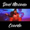 Coarda - Dani Mocanu