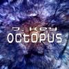 Octopus (Short Edit) - J. Key