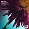 Blossom (Original Mix) - Andski