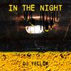 In the Night - DJ Yellow