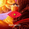 Cosmic Ayurveda (Original Mix) - Calling Lata