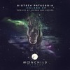 Iceland (Unseen. Remix) - Biotech Patagonia&Unseen.