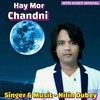 Tor Chahra Punni Ke Chandaini - Nitin Dubey&Pammi