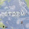 Storm (Explicit) - Riio