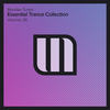 Bring It Back (Original Mix) - Sholan