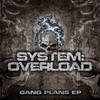 This Is What We Do! (Original Mix) - System Overload&Spitnoise