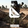 Assault - TEOR