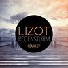 Regensturm (Extended Mix) - LIZOT