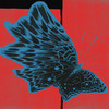 Standing Up - Enduro Disco