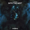 Into the Mist - Laeko