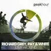 Jump Around (Original Mix) - Pay&Richard Grey&White