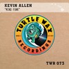 Mind Funk - Kevin Allen