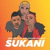 SUKANI (feat. 20ty Soundz & Ceebuu) - Zeedo&Skyy Da Dj&20ty Soundz&Ceebuu