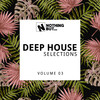 Fly (Original Mix) - DJ Alex V.I.T.