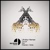 Smile (Original Mix) - Arthur Hernan