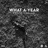 What A Year (Explicit) - Frank Gwalla