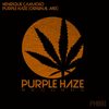 Purple Haze (Original Mix) - Henrique Camacho