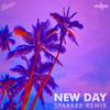 New Day (Sparkee Remix) - Sparkee&Volpe