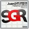 Habemus Groove (Original Mix) - Juan Gallardo