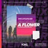 Fading Like a Flower (Crystal Rock & Marc Kiss Remix) - Robaer&Leines&Emelie Cyréus