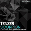 Scorpion (Ivan Kook Remix) - Tenzer&Ivan Kook