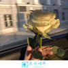 海不会等风来 - XINGWAMIX