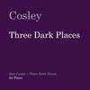 Dark Place III. - Dan Cosley