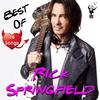 Rock Of Life - Rick Springfield