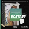 Living in Ecstasy (Extended) - Robaer&YUNA&Martin Van Lectro