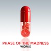 Pixel Bulwark (Original Mix) - Phase Of The Madness