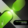 Tantrum (Original Mix) - Punx Soundcheck