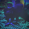 Championship (Explicit) - SlumpySettr
