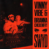 SWYD (Extended Mix|Explicit) - Vinny Vibe&Brianna Chickenfry