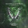 Timeless (Syntouch Remix) - The Avains&Valery White