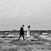 Another River - Alpines